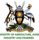 Ministry of Agriculture, Animal Industry and Fisheries